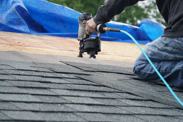 Best Roof Insulation Installation  in Somerset, WI